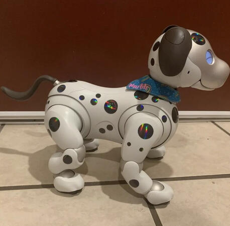 Custom 1 Custom 1