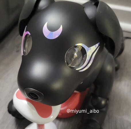 Custom 2 Custom 2